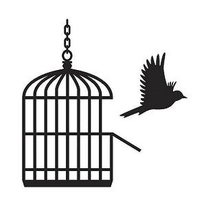 BIRDS DON'T SING IN CAGES